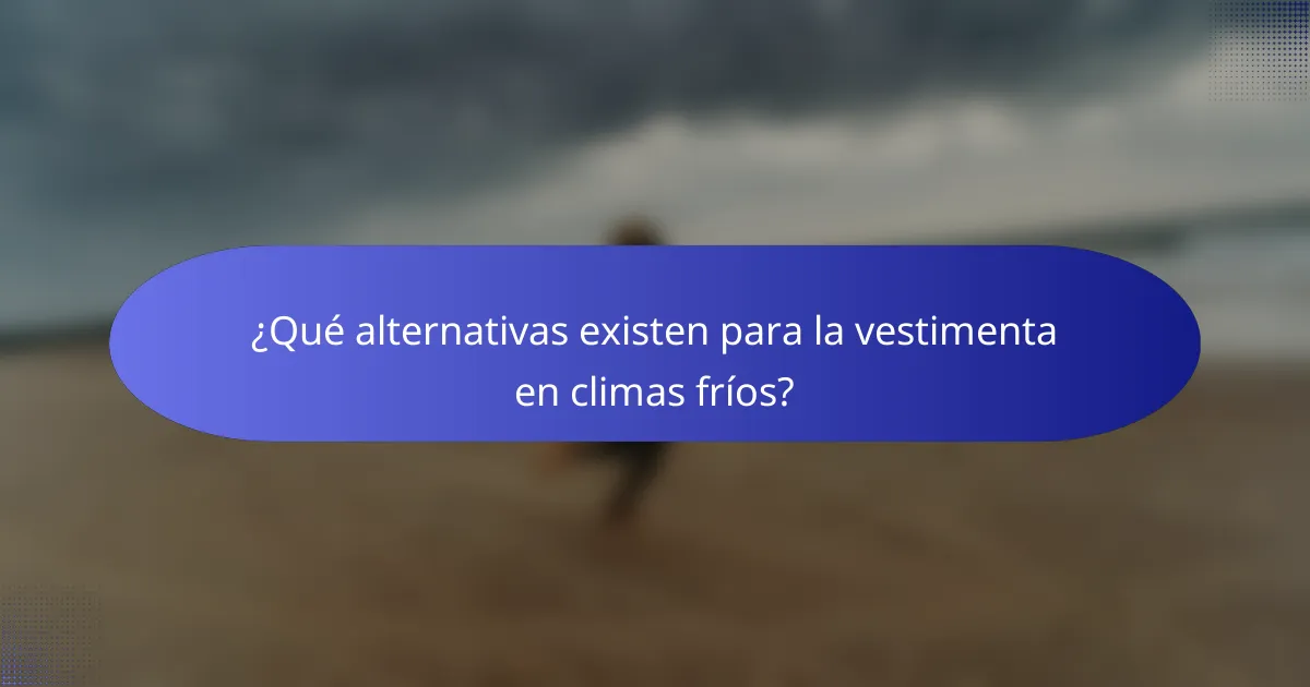 ¿Qué alternativas existen para la vestimenta en climas fríos?